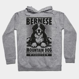 Bernese Mountain Dog Hoodie
